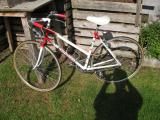 Bottecchia Damen-Sportrad (1987)