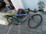 Puch PIAGGIO STYRIA MTB - SINGLESPEED (1994±3)