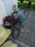 Puch PIAGGIO STYRIA MTB - SINGLESPEED (1994±3)