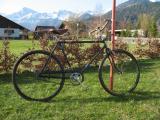 Steyr Daimler Puch BERGLAND SINGLESPEED (1956)