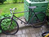 Steyr Daimler Puch BERGLAND SINGLESPEED (1956)