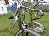 Steyr Daimler Puch Rahmen Singlespeed (1938)