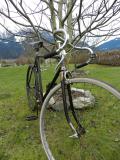 Steyr Daimler Puch Rahmen Singlespeed (1938)