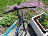 Puch PIAGGIO STYRIA MTB - SINGLESPEED (1994±3)