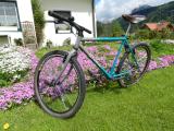 Puch PIAGGIO STYRIA MTB - SINGLESPEED (1994±3)