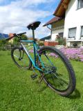 Puch PIAGGIO STYRIA MTB - SINGLESPEED (1994±3)