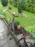 Steyr Daimler Puch Blumenrad (1938±1)